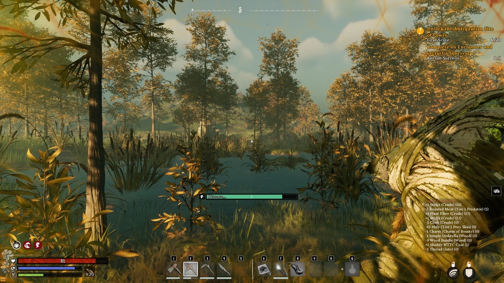 How To Cure Disease In Nightingale