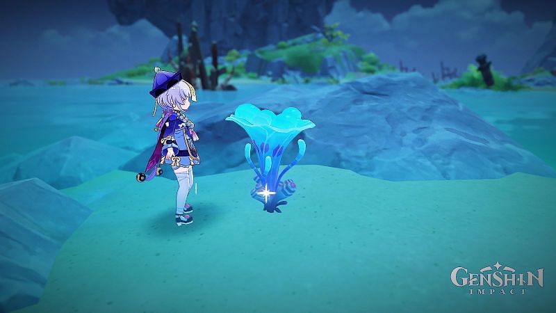 Genshin Impact Sea Ganoderma locations – How to farm it