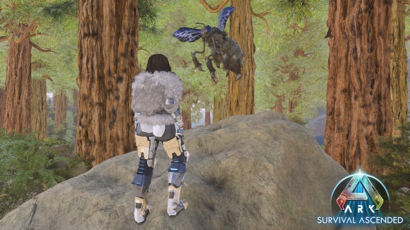 ARK Survival Ascended Queen Bee Locations | The Center