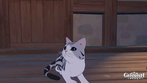 How to complete A Cat’s Gift hidden achievement in Genshin Impact