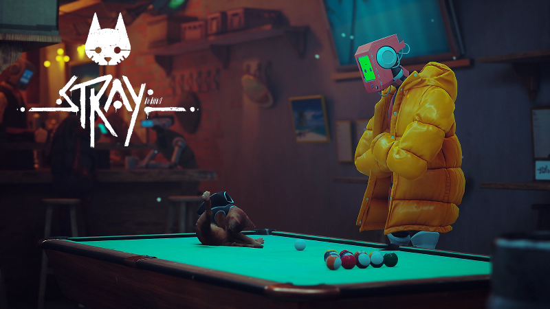 Annapurna’s Stray Is The Company’s Biggest Launch Title To Date