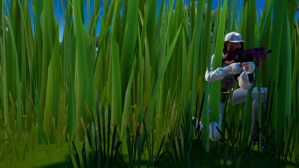 Where to Hide in Stealth Grass for 10 seconds – Fortnite Stealth Grass locations