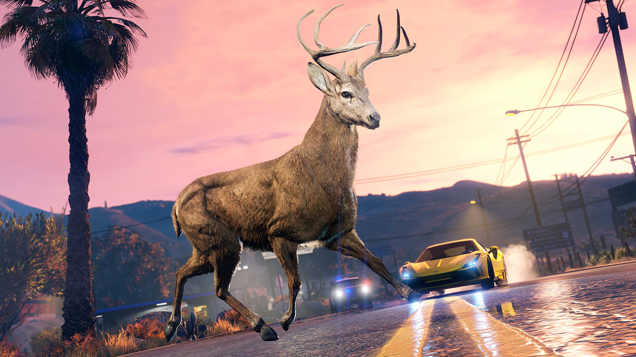 GTA Online Animals: Where Are They And Why Aren’t They Showing