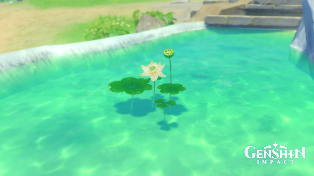 Genshin Impact: Best locations to farm and find Lotus Heads