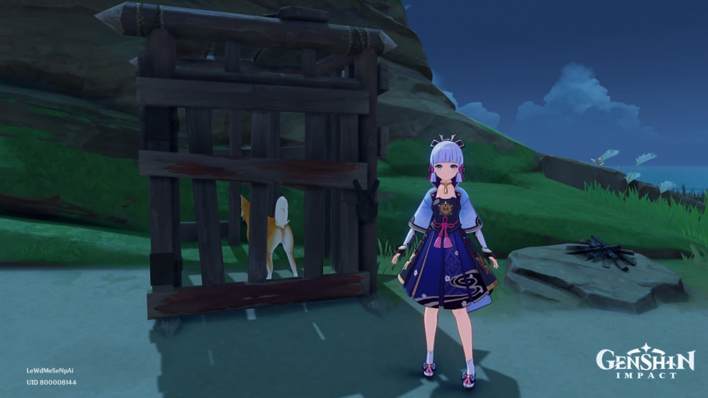 Genshin Impact Who Let the Dog Out achievement: How to complete