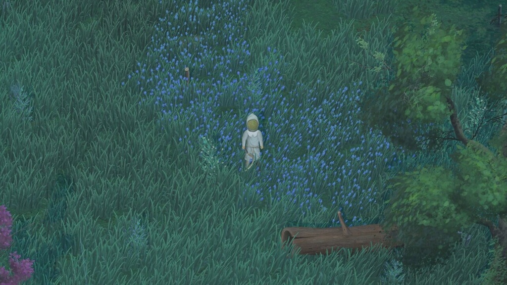 Mirthwood: Where To Find The Beekeeper’s Outfit