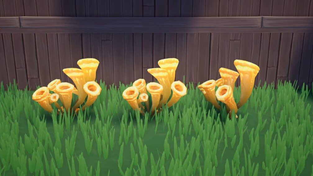 Palia: How To Get & Use The Baharricenia Flower Seeds