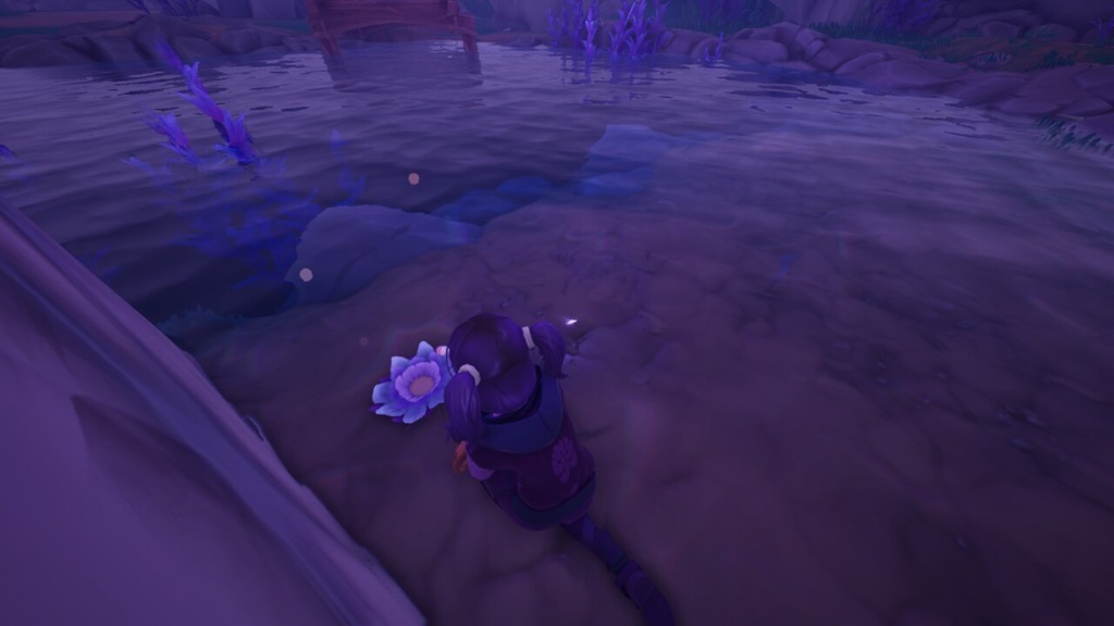 Palia: Where To Get & Use Sacred Flowers