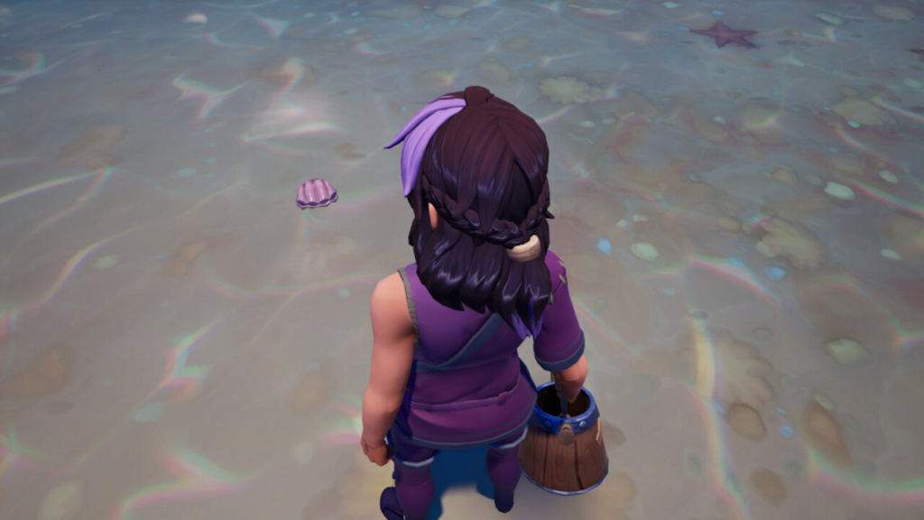 Where To Get & Use Shells In Palia