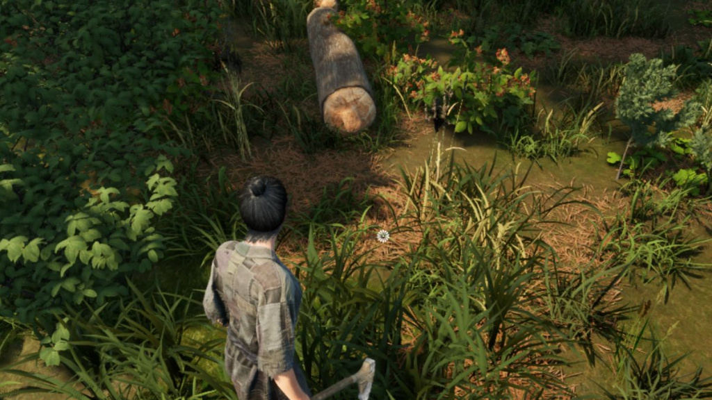 How To Get Planks In Sengoku Dynasty