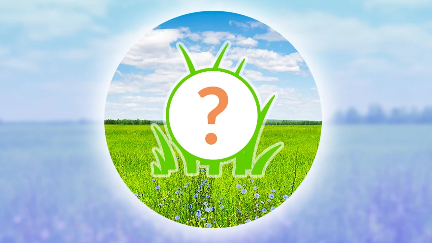 Pokémon GO October 2022 Spotlight Hours – All Featured Pokémon