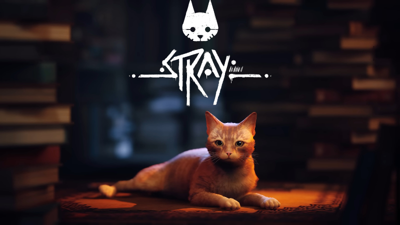 Stray – How To Unlock All Hidden Achievements On Steam