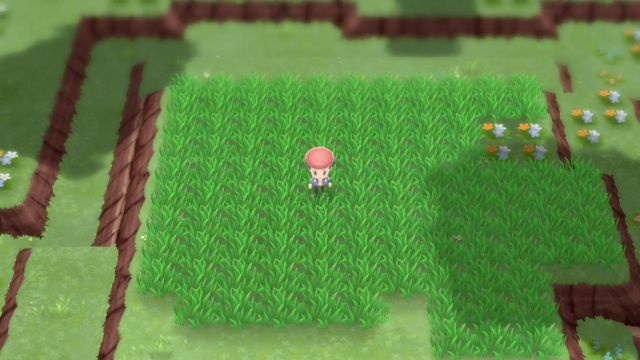 Every Trophy Garden Pokémon in Brilliant Diamond and Shining Pearl