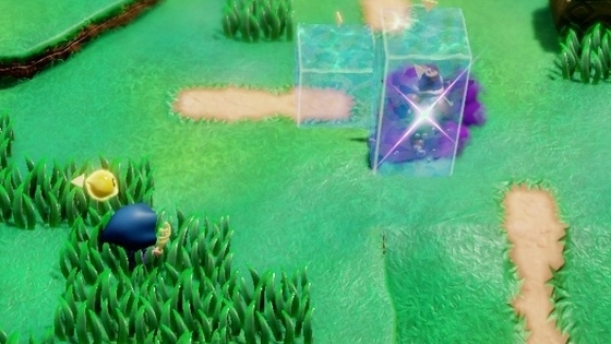 New Echoes Of Wisdom Strat Of One-Shotting Enemies May Induce A Fear Of Water