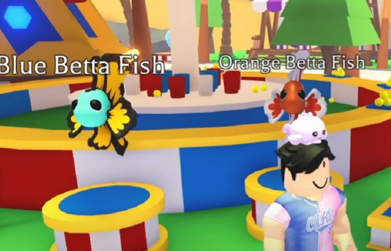 Roblox Adopt Me Betta Fish Ball Toss: Rewards, Chances & Items