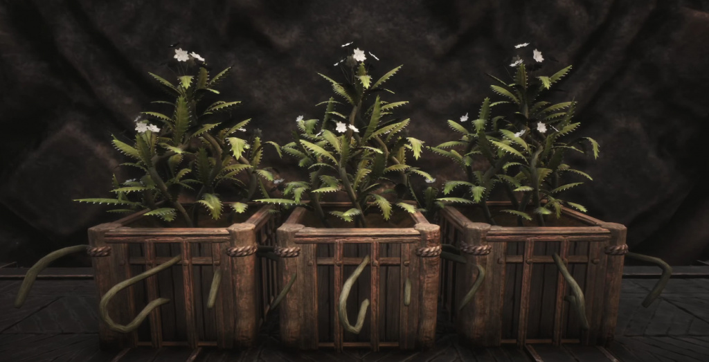 Conan Exiles Grey Lotus – Locations & Where To Find