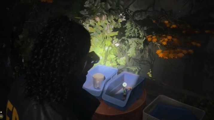 Alan Wake 2 Witch’s Hut Fuse Location