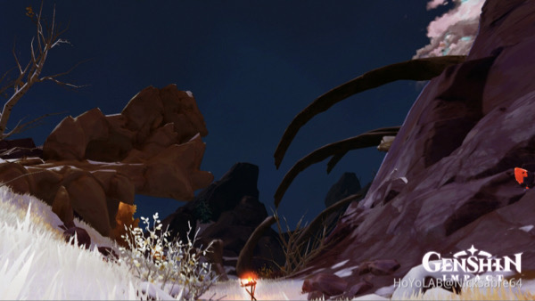 Who is Durin in Genshin Impact?