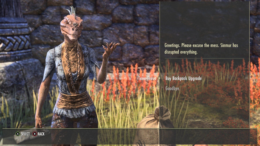 How To Increase Inventory Space In Elder Scrolls Online