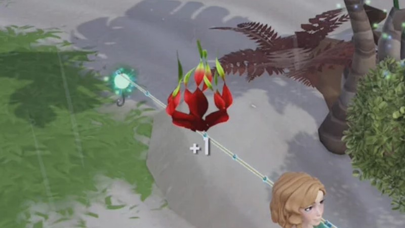 How To Find Red Algae In Disney Dreamlight Valley