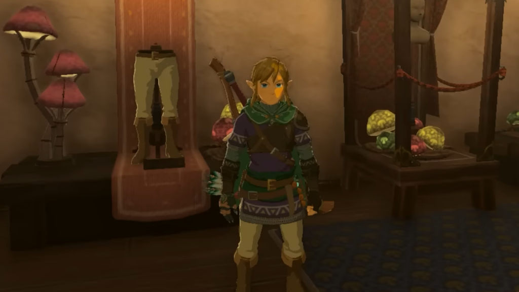 How To Lower Link’s Hylian Hood In Zelda: Tears Of The Kingdom