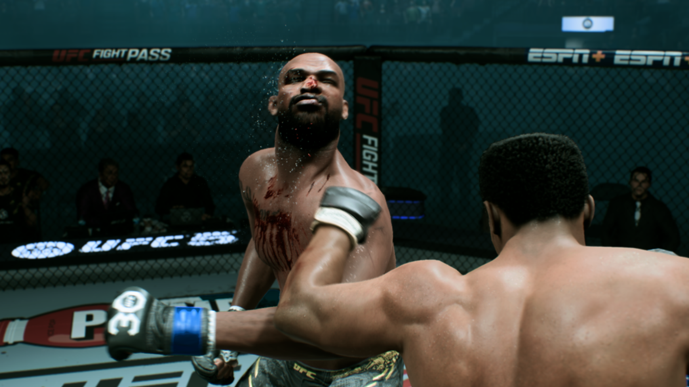 Ufc fight pass store on ps4