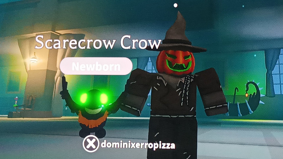 What Is Scarecrow Crow Worth In Adopt Me? - GINX TV