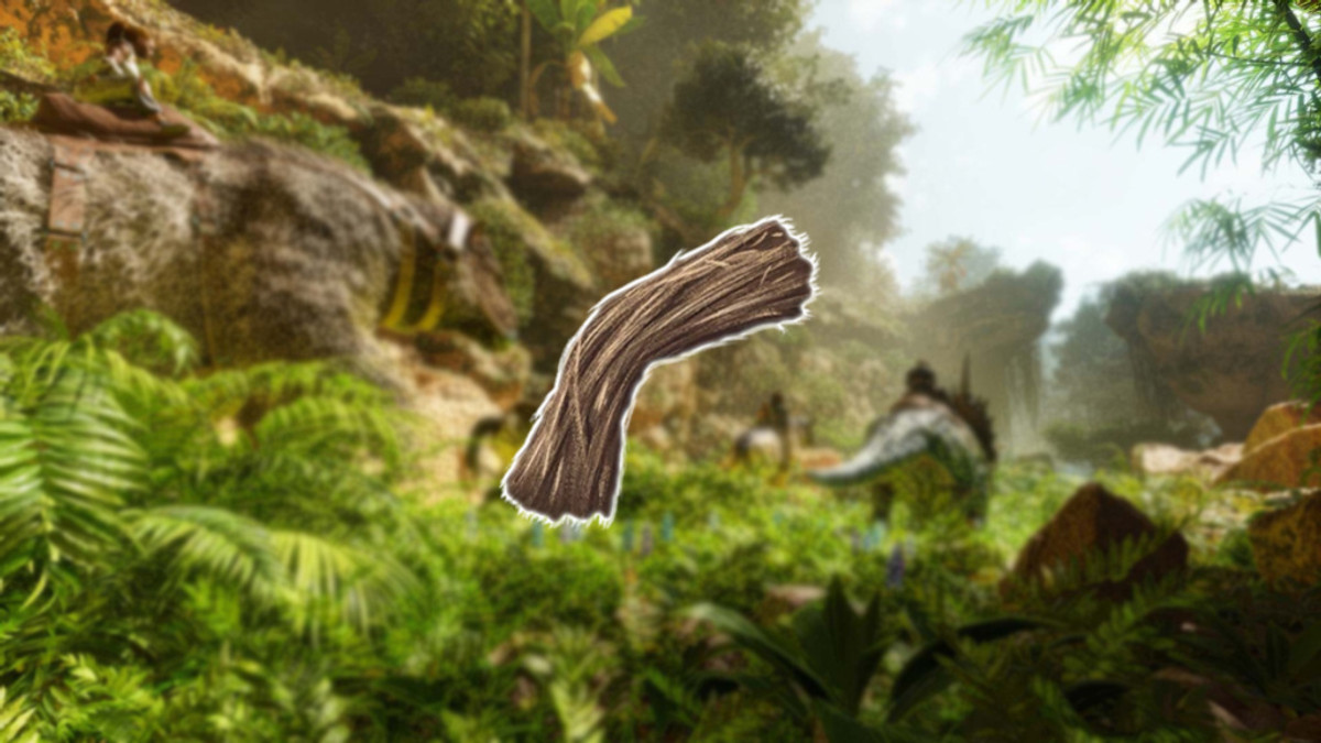How To Get Fiber In Ark Survival Ascended - GINX TV
