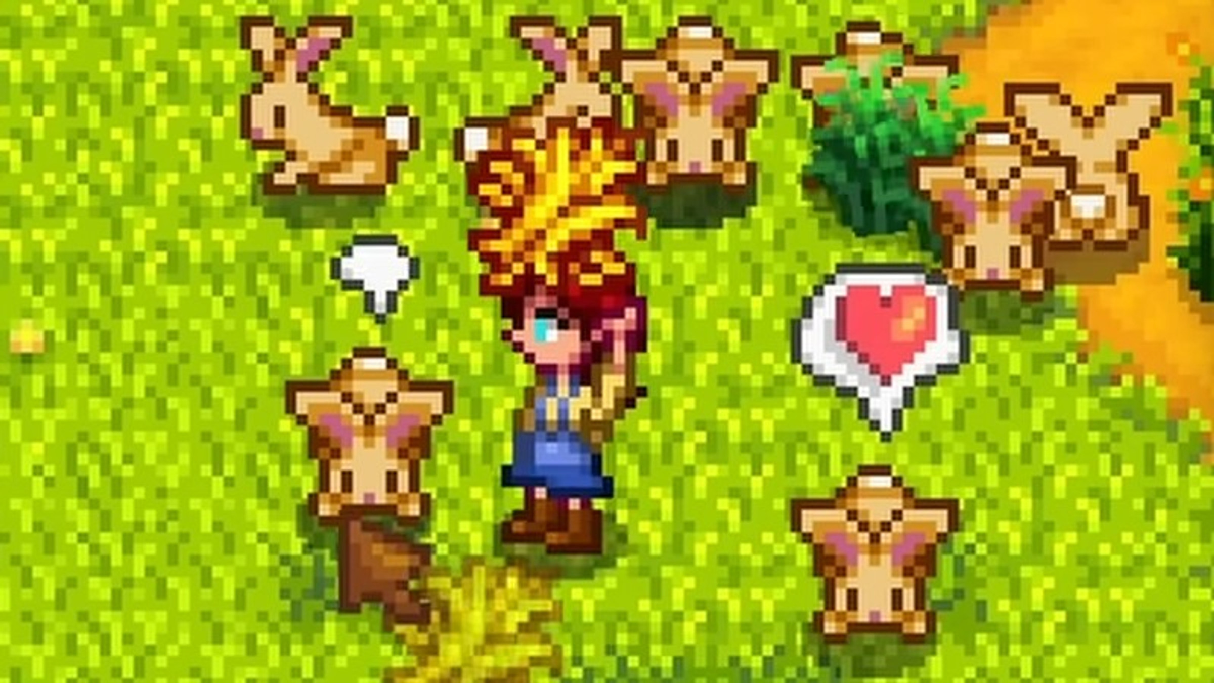 How to Get Rabbit