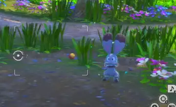 New Pokémon Snap: How to snap Bunnelby and complete Bursts Out request