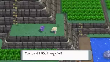How to find TM53 Energy Ball in Pokémon Brilliant Diamond and Shining Pearl