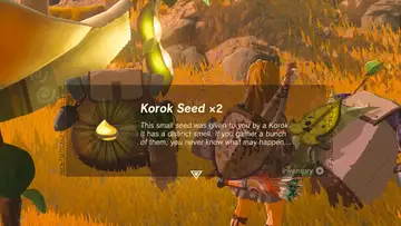 How To Get Korok Seeds In The Legend Of Zelda: Tears Of The Kingdom