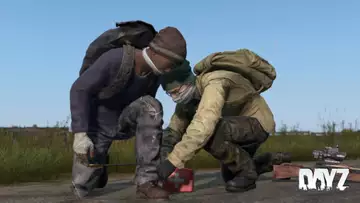 Are DayZ Servers Down Today? How To Check