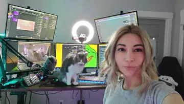 CodeMiko responds to fans after Alinity guest star announcement hate