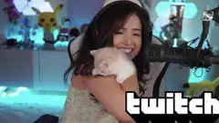 Pokimane's new kitten revealed as Twitch chat oozes with love