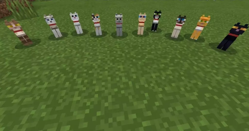 Breed Cats in Minecraft to have a bunch of small kittens