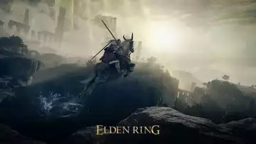 Elden Ring Player Breaks Game Clock With 1000 Hour Play Time