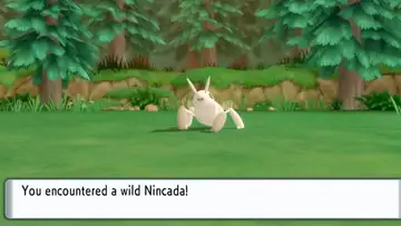 How to catch Nincada in Pokémon Brilliant Diamond and Shining Pearl