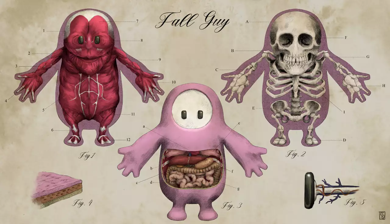 Fall Guys artist reveals what's inside a Fall Guy and it's not