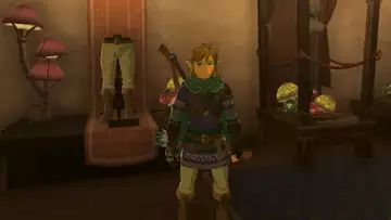 How To Lower Link's Hylian Hood In Zelda: Tears Of The Kingdom