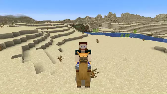 How To Tame & Breed Camel In Minecraft
