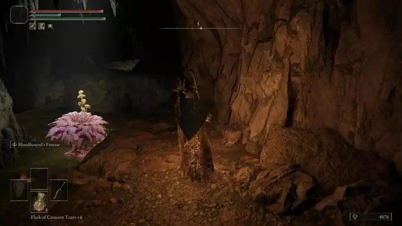 Flower Enemies and poison waters on your left in the Stillwater cave in Elden Ring.