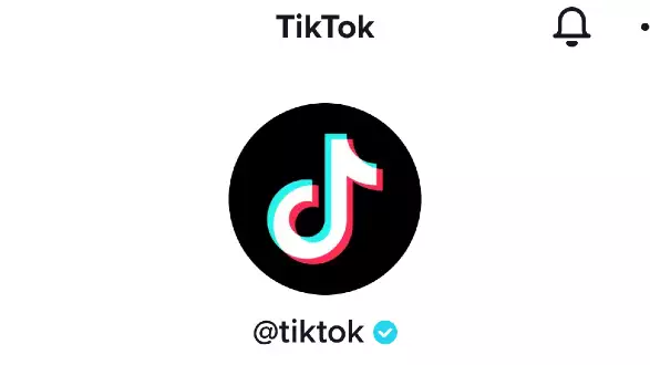 How To Get Verified On Tiktok In 2022 importance pf being verified