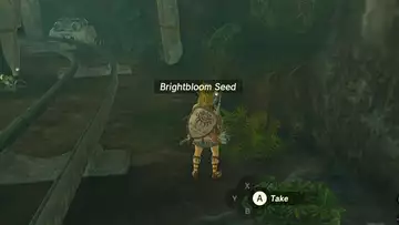 How To Use Brightbloom Seeds In Zelda: Tears Of The Kingdom