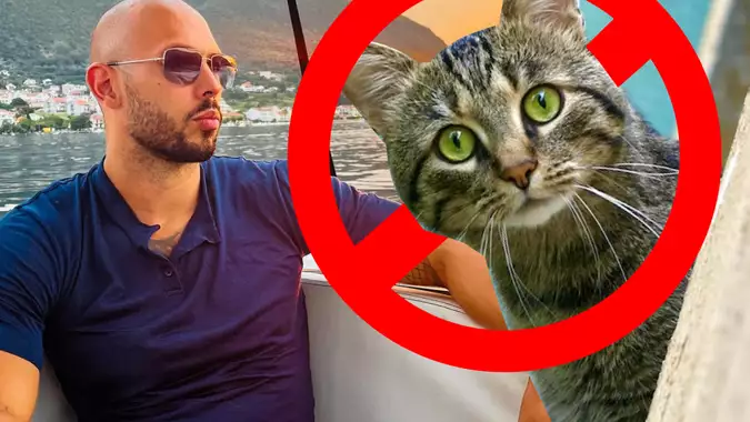 Andrew Tate Hates Cats, Says Cat Owners Are D*ckheads