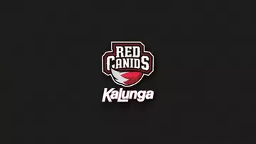 Owner and CEO of RED Canids is sanctioned for toxic behaviour