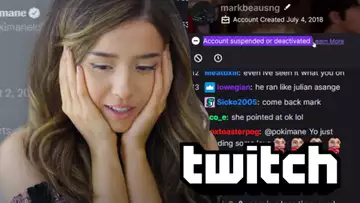 Pokimane wrecks hater so hard entire account gets deleted