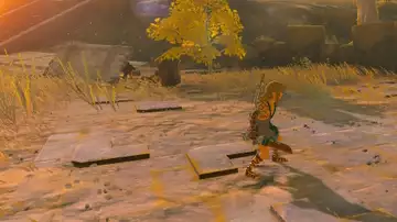 Best Early Game Sword In Zelda Tears Of The Kingdom