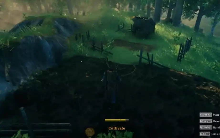 Valheim seeds how to find and plant