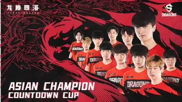 OWL Countdown Cup: Dragons and Shock come out on top to reaffirm their dominance in Asia and North America